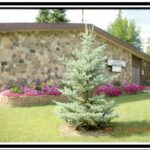 1 St Joseph Present One