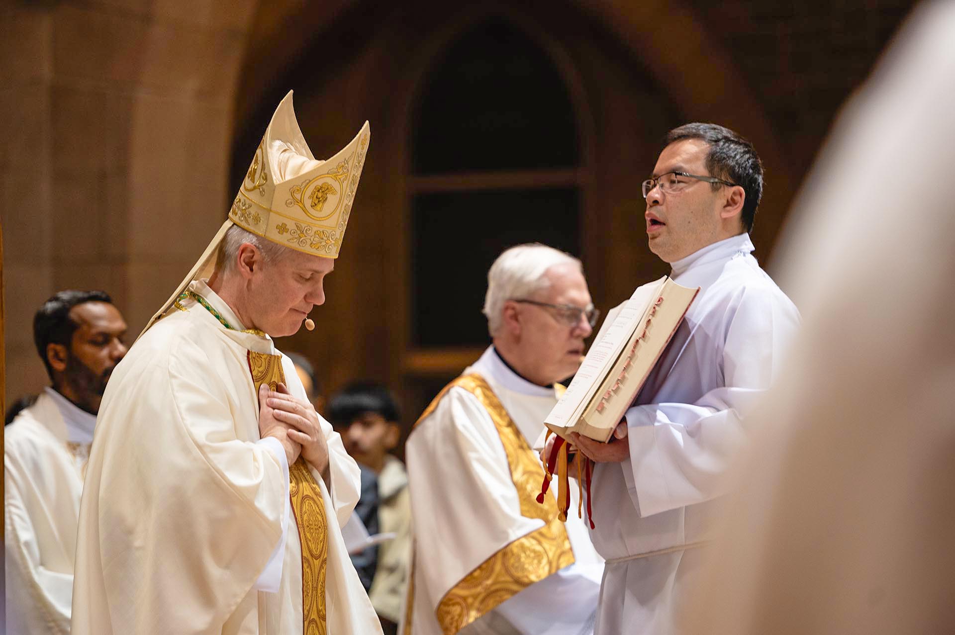 55194491230_480eefbf06_o