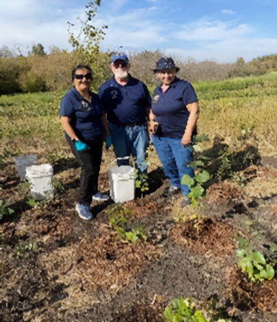 Barb Riley community garden
